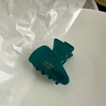 Dark green acetate hair claw clip with golden Amy Bear text for women's hairstyling - Dark Lake Blue - Carrot