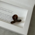 Close-up of a mini amber acetate hair claw clip with tortoise shell pattern on a white board - Marble Blue Coffee