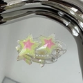 Pince à cheveux étoile Y2K en résine transparente avec motifs à paillettes - Double Étoile Y2K - Vert Clair