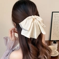 Elegante fermaglio per capelli in raso crema con bordi glitterati su capelli lunghi - Fermaglio Coda di Cavallo Bianco con Strass / Bianco