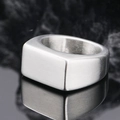 Men's titanium steel signet ring with a silver brushed finish and rectangle flat top - Size 7 / Brushed Rectangular Signet (Model 13) / Steel