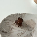 Detail view of mini hair claw with amber tortoise shell texture and handmade gold lettering - Brown