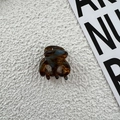 Detail view of mini acetate hair claw with tortoiseshell pattern on white textured background - Blue Coffee