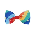 Détail d'un nœud papillon coloré avec motif étoilé sur ruban gros-grain - Style Pentagramme Coloré (14)