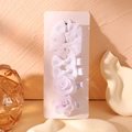 Set of white ribbed ribbon bows and mesh roses on display card for girls' hair styling - Pure White Style (6L)