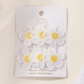 Set van 6 witte geborduurde madeliefjes haarspeldjes voor meisjes op winkelverpakking - Madeliefje Borduurstijl (2A-4)