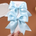Paire de nœuds à cheveux en satin bleu clair pour filles sur carte de présentation - 2 Pièces/Ensemble / Bleu clair