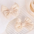 Set de dos elegantes pinzas para el cabello de satén color champán para niñas - Juego de 2 Piezas / Oro Champaña/Beige (2A-20)