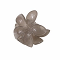 Translucent taupe plumeria flower hair claw clip with a glossy six-petal design - Glossy Grey