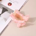 Detail einer Haarklammer mit rosa Satinschleife auf einem Zeitschriftenhintergrund - Großpackung / Rosa