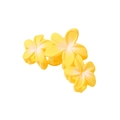 Drei gelbe Plumeria Haarklammern aus mattem Harz mit elegantem Farbverlauf - Einzelverpackung / Gelb