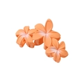 Three-piece orange and white plumeria flower hair claw clip with matte resin finish - Orange