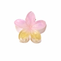 Pink and yellow gradient frangipani flower hair claw clip with matte resin finish - Pink Yellow Gradient