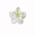 Molletta per capelli a fiore di frangipane bianco perla con centro verde sfumato - Verde Perlato (4cm)