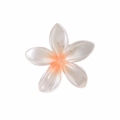 Pince à cheveux fleur de frangipanier blanc nacré avec centre orange et finition résine - Emballage en vrac / Orange