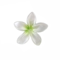 Barrette fleur de frangipanier nacrée avec centre vert et pince bec de canard élégante - Emballage en vrac / Vert