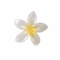 Elegant white frangipani hair clip with yellow gradient center and resin finish - Yellow