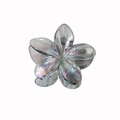 Pince à cheveux plumeria colorée AB avec finition irisée et design floral à cinq pétales - En Vrac - Noir