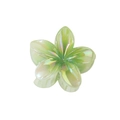 Iridescent light green plumeria flower hair claw clip with a laser holographic finish - Iridescent Plumeria-Grass Green