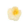 Haarklammer in Blütenform mit Farbverlauf in Creme und Orange als Hibiskusblüte - Einzelverpackung / Gelb