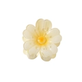 Pale yellow flower hair claw clip with semi-transparent petals and realistic floral texture - Yellow / Bulk Packaging