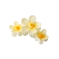 Eleganter halbtransparenter Haarclip mit drei Blumen in Cremegelb und orangen Details - Gelb