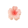Pink cherry blossom hair claw clip with translucent petals and red floral center - Red