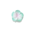 Matte gradient flower hair claw clip in mint green and pink for women hairstyle - Matte Green Pink