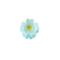 Petite pince à cheveux fleur bleue avec centre dégradé jaune en résine pour femme - Bleu clair