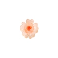 Pince à cheveux fleur rose sakura translucide avec pétales en cœur et fini brillant - Corail