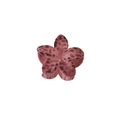 Pinza de pelo con forma de flor rosa vieja flocado con estampado de leopardo oscuro - Punto de Leopardo Flocado-Rosa / Empaque a granel