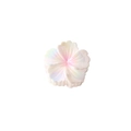 Pink and white AB colorful five-petal flower hair claw clip with pearl finish for women - Individual Packaging / Iridescent Pink