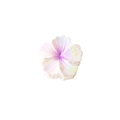 Iridescent flower hair claw clip with pearlescent pink and purple gradient finish - Individual Packaging / Iridescent Purple