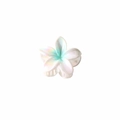 Irisierende weiße Frangipani-Haarklammer mit holografischem Finish aus Harz - Lose Verpackung / Cyan Grün