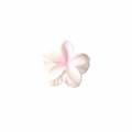 Pince à cheveux fleur de frangipanier blanc nacré avec élégant dégradé rose doux - Rose Clair