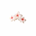 Pince à cheveux fleur de frangipanier blanc et rose avec une finition nacrée élégante - Rouge