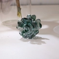 Elegante pinza de pelo de resina verde oscuro translúcido con forma de flor de plumeria - Negro