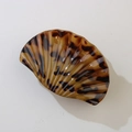 Scallop shell hair claw clip featuring a vintage tortoiseshell pattern in dark brown - Yellow Tortoiseshell