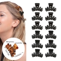 Set van 12 mini haarklemmetjes in klassiek zwart en amber schildpadpatronen - 12-delige Set (OPP-zak) / Stijl B (6 Mat Zwart + 6 Glanzend Zwart)