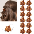 12er-Set Mini-Blumen-Haarklammern in Bernsteinbraun aus Harz für Damen-Styling - OPP-Beutel / Stil F Glänzend Gelb Leopard