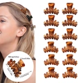 12-delige mini haarklemmen set in amber schildpadmotief met 3cm kruis hol ontwerp dames - 12-delige Set (OPP-zak) / Stijl C (6 Mat Geel Luipaard + 6 Glanzend Geel Luipaard)