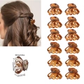 12-piece mini amber octopus hair claw clips for women showing size and weight details - OPP Bag / Variant C (Matte Leopard + Glossy Leopard)