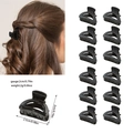 Set di 12 mini mollette per capelli nere da 2,5 cm con finiture opache e lucide - Confezione in busta / Nero opaco
