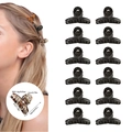 Set of 12 black mini matte hair claw clips with size and weight detail overlay - Glossy Black (Style E)