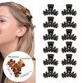 Set of 12 mini black hair claws in coffee tone with detailed size and weight specifications - 12 Pcs Set (OPP Bag) / Model E Full Glossy Black