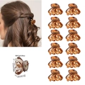 Set of 12 small amber octopus hair claws for stylish fringe styling and hair updos - OPP Bag / Model F Full Glossy Yellow Leopard