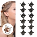 Set of 12 black mini butterfly hair claws for women, lightweight plastic grip clips - Matte Black + Glossy Black / OPP Bag