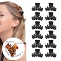 Set of 12 mini black hair claw clips for women, small 3cm plastic resin styling hairpins - 12 Pcs Set (OPP Bag) / Model H Full Matte Black