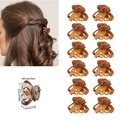 Set of 12 mini tortoise shell hair claw clips with size and weight measurements - OPP Bag / Model J Full Matte Yellow Leopard