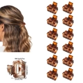 12-piece set of mini square hair clips in tortoiseshell amber finish for women - OPP Bag / All Glossy Yellow Leopard